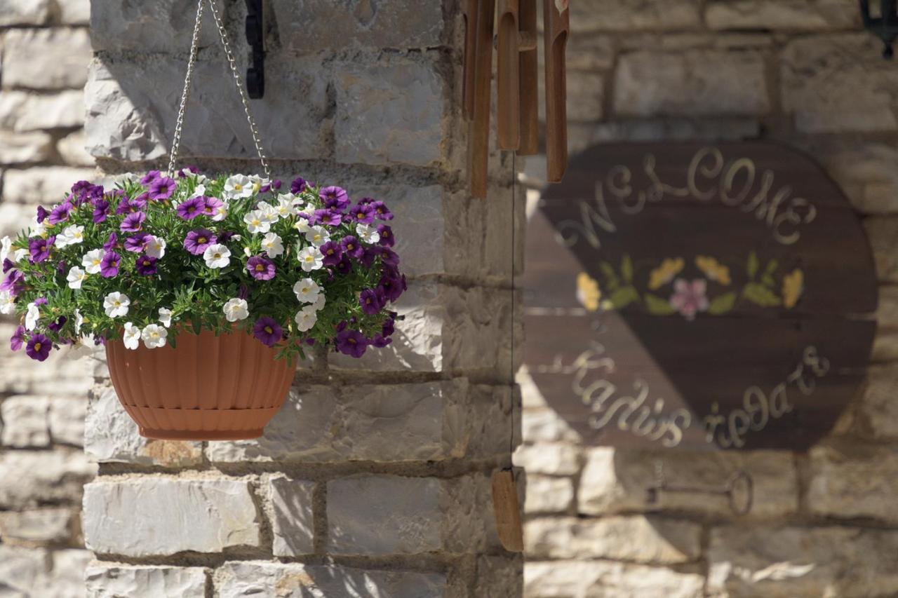 Hotel Ameliko Zagori Áno Pediná Esterno foto
